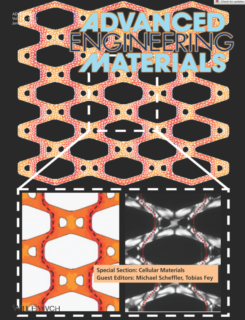 Towards entry "Back cover to our publication “Deformation Behavior of 2D Composite Cellular Lattices of Ceramic Building Blocks and Epoxy Resin” is out now."