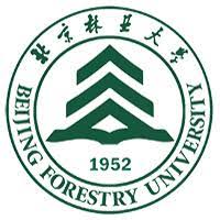 Towards entry "Mingjie Wang from Beijing Forestry University Joints the Institute for a Research Visit"