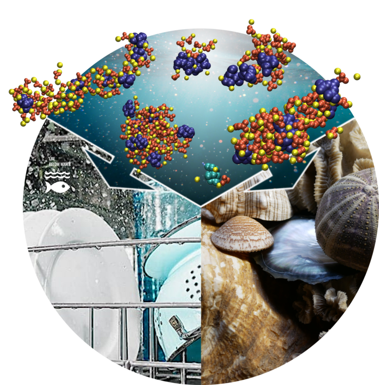 Using Chaos against Calcification: a “hot” paper in “Angewandte Chemie”